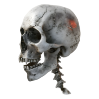 3D Rendering of a Human Skull with Neck Bone on Transparent Background - png