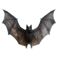 Bat Flying on Transparent background - png