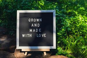 Letter board with text GROWN AND MADE WITH LOVE on background of garden bed with green herb parsley. Organic farming, produce local vegetables concept. Supporting local farmers. Seasonal market photo