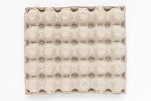 A top view of a beige egg carton displaying symmetrical circular indentations photo