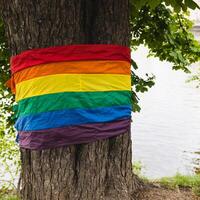 Pride LGBTQ rainbow flag wrapped around tree in a peaceful park photo