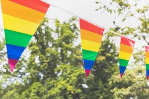 Colorful LGBTQ pride flags waving on sunny day with trees in background photo