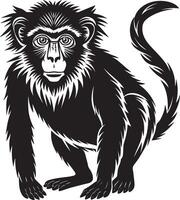 Monkey silhouette. black and white. illustration in white background vector