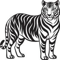 Tiger - Wild Animal - illustration vector