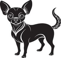 chihuahua blanco fondo, ilustración vector