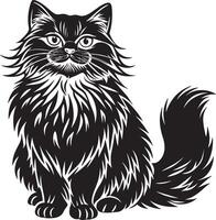 Maine Coon Cat - Black and White Illustration, . vector