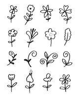 Floral and herbal set on white background. vector