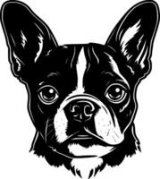 bostón terrier - alto calidad logo - ilustración ideal para camiseta gráfico vector