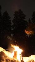 Fire flame in the dark forest photo