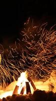 Fire flame in the dark forest photo