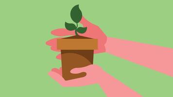 person holds a plant in a pot abstract illustration vector