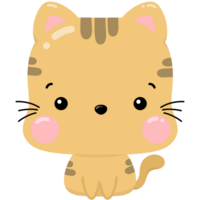 gatinho fofo png