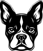 bostón terrier - minimalista y plano logo - ilustración vector