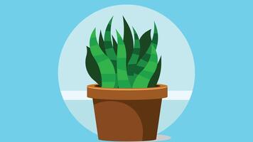 A plant in a pot isolated icon vector