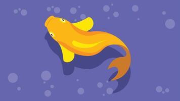 fish swimming in the ocean illustration vector