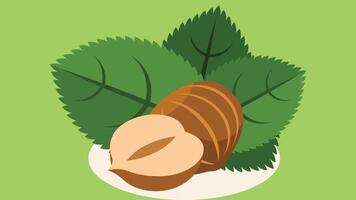 hazelnut plants in the focus isolated background illustration vector