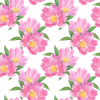 Seamless pattern of peony flowers and leaves drawn with colored pencils. For elegant summer and wedding projects, print creations and vintage style decorations. png