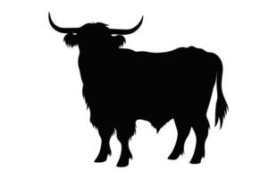 Highland Cattle black Silhouette isolated on a white background vector