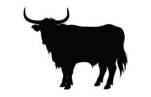 Highland Cow Silhouette isolated on a white background vector