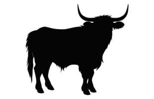 Highland Cattle Silhouette isolated on a white background vector