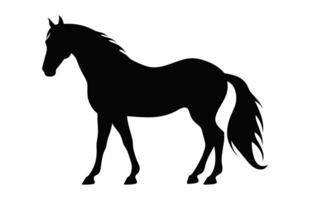 caballo negro silueta aislado en un blanco antecedentes vector