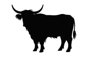 Highland Cow Silhouette isolated on a white background vector