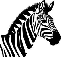 Zebra, Black and White illustration vector