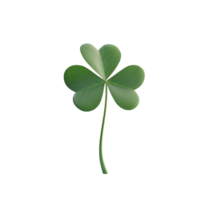 Grün Kleeblatt Blatt. st Patrick's Tag png