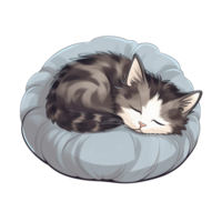 Cute cat sleeping on the pillow png