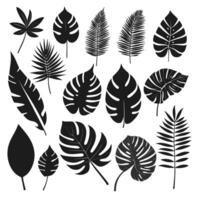 Exotic leaf set 2d collection of tropical leaves silhouette vector