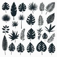 Exotic leaf set 2d collection of tropical leaves silhouette vector