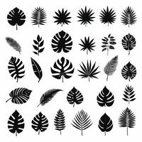 Exotic leaf set 2d collection of tropical leaves silhouette vector