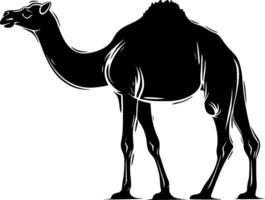 Camel - Black and White Isolated Icon - illustration vector