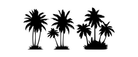 Black palm trees set isolated on white background. Palm silhouettes. Design of palm trees for posters, banners and promotional items. illustration vector