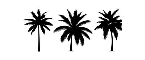 Black palm trees set isolated on white background. Palm silhouettes. Design of palm trees for posters, banners and promotional items. illustration vector