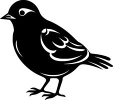 Pigeon, Black and White illustration vector