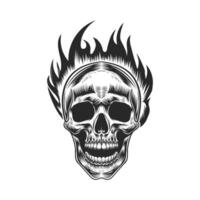 vintage human skull design white background vector