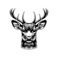 deer head isolated design vector