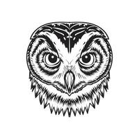 hand drawn Owl outline design vector