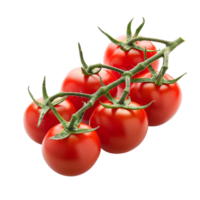Cherry tomatoes popular worldwide in mediterranean cuisine photographed in macro on a transparent png