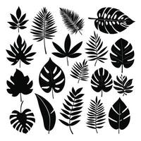 Exotic leaf set 2d collection of tropical leaves silhouette vector