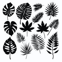 exótico hoja conjunto colección de tropical hojas silueta vector