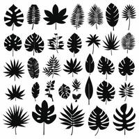 Exotic leaf set collection of tropical leaves silhouette vector