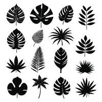 Exotic leaf set 2d collection of tropical leaves silhouette vector