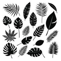 Exotic leaf set 2d collection of tropical leaves silhouette vector