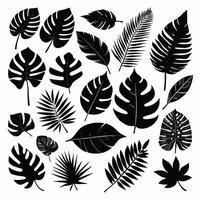 Exotic leaf set collection of tropical leaves silhouette vector