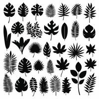 Exotic leaf set collection of tropical leaves silhouette vector