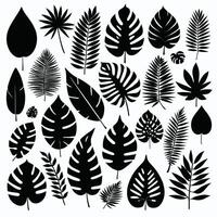 Exotic leaf set collection of tropical leaves silhouette vector