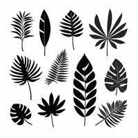 Exotic leaf set collection of tropical leaves silhouette vector