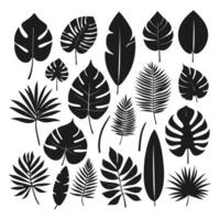 exótico hoja conjunto 2d colección de tropical hojas silueta vector
